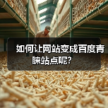 如何让网站变成百度青睐站点呢?(图4) 如何让网站变成百度青睐站点呢?(图4)