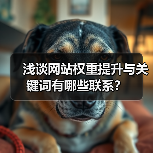 浅谈网站权重提升与关键词有哪些联系?(图1) 浅谈网站权重提升与关键词有哪些联系?(图1)