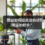 网站如何提高蜘蛛抓取网站的频率?(图1) 网站如何提高蜘蛛抓取网站的频率?(图1)