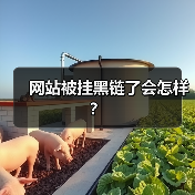 网站被挂黑链了会怎样？（图3）