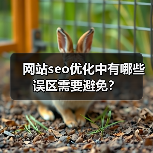 网站seo优化中有哪些误区需要避免?(图3) 网站seo优化中有哪些误区需要避免?(图3)