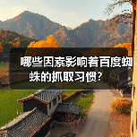 哪些因素影响着百度蜘蛛的抓取习惯?(图4) 哪些因素影响着百度蜘蛛的抓取习惯?(图4)