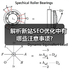 解析新站SEO优化中有哪些注意事项?(图1) 解析新站SEO优化中有哪些注意事项?(图1)
