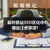 解析新站SEO优化中有哪些注意事项?(图2) 解析新站SEO优化中有哪些注意事项?(图2)