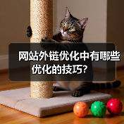 网站外链优化中有哪些优化的技巧？（图4）