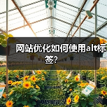 网站优化如何使用alt标签?(图4) 网站优化如何使用alt标签?(图4)