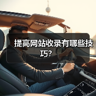提高网站收录有哪些技巧?(图2) 提高网站收录有哪些技巧?(图2)