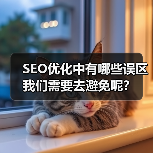 SEO优化中有哪些误区我们需要去避免呢?(图1) SEO优化中有哪些误区我们需要去避免呢?(图1)