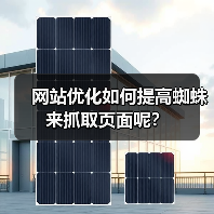网站优化如何提高蜘蛛来抓取页面呢?(图2) 网站优化如何提高蜘蛛来抓取页面呢?(图2)