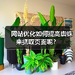 网站优化如何提高蜘蛛来抓取页面呢?(图4) 网站优化如何提高蜘蛛来抓取页面呢?(图4)