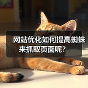 网站优化如何提高蜘蛛来抓取页面呢?(图3) 网站优化如何提高蜘蛛来抓取页面呢?(图3)