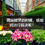 网站被黑的时候,该如何进行解决呢?(图1) 网站被黑的时候,该如何进行解决呢?(图1)