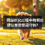 网站优化过程中有哪些建议是需要遵守的?(图4) 网站优化过程中有哪些建议是需要遵守的?(图4)