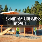 浅谈旧域名对网站优化的好处？（图2）