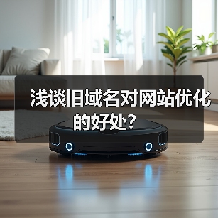 浅谈旧域名对网站优化的好处？（图4）