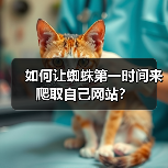 如何让蜘蛛第一时间来爬取自己网站?(图4) 如何让蜘蛛第一时间来爬取自己网站?(图4)
