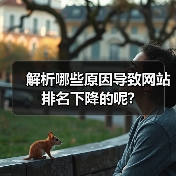 解析哪些原因导致网站排名下降的呢?(图2) 解析哪些原因导致网站排名下降的呢?(图2)