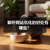 解析网站优化的好处有哪些?(图3) 解析网站优化的好处有哪些?(图3)