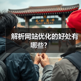 解析网站优化的好处有哪些?(图4) 解析网站优化的好处有哪些?(图4)
