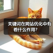 关键词在网站优化中有着什么作用?(图3) 关键词在网站优化中有着什么作用?(图3)
