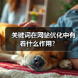 关键词在网站优化中有着什么作用?(图1) 关键词在网站优化中有着什么作用?(图1)