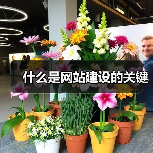 什么是网站建设的关键（图1）
