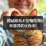 网站排名不安稳跟网站关键词优化有关!(图1) 网站排名不安稳跟网站关键词优化有关!(图1)