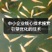 中小企业核心技术搜索引擎优化的技术(图1) 中小企业核心技术搜索引擎优化的技术(图1)