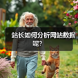 站长如何分析网站数据呢？（图4）