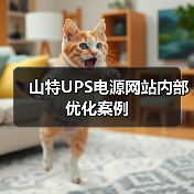 山特UPS电源网站内部优化案例（图2）