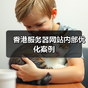 香港服务器网站内部优化案例(图1) 香港服务器网站内部优化案例(图1)