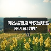 网站被百度降权是哪些原因导致的?(图2) 网站被百度降权是哪些原因导致的?(图2)