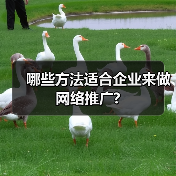哪些方法适合企业来做网络推广?（图3）