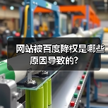 网站被百度降权是哪些原因导致的?(图3) 网站被百度降权是哪些原因导致的?(图3)