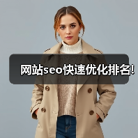 网站seo快速优化排名!(图4) 网站seo快速优化排名!(图4)
