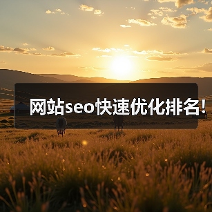 网站seo快速优化排名!(图2) 网站seo快速优化排名!(图2)