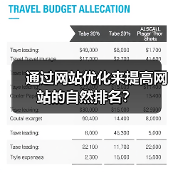 通过网站优化来提高网站的自然排名?(图1) 通过网站优化来提高网站的自然排名?(图1)