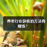养老行业获客的方法有哪些?(图1) 养老行业获客的方法有哪些?(图1)
