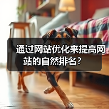 通过网站优化来提高网站的自然排名?(图4) 通过网站优化来提高网站的自然排名?(图4)