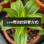 seo有效的获客方式!(图1) seo有效的获客方式!(图1)