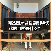网站图片做搜索引擎优化的目的是什么?(图2) 网站图片做搜索引擎优化的目的是什么?(图2)