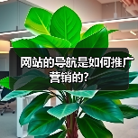 网站的导航是如何推广营销的?(图3) 网站的导航是如何推广营销的?(图3)