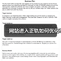 网站进入正轨如何优化?（图1）