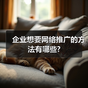 企业想要网络推广的方法有哪些?(图2) 企业想要网络推广的方法有哪些?(图2)