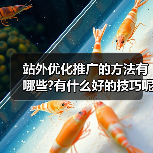 站外优化推广的方法有哪些?有什么好的技巧呢?（图3）