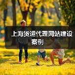 上海货运代理网站建设案例（图1）