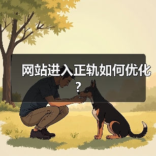网站进入正轨如何优化?（图4）