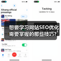 想要学习网站SEO优化需要掌握的那些技巧?(图1) 想要学习网站SEO优化需要掌握的那些技巧?(图1)