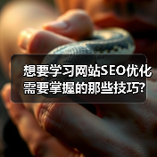 想要学习网站SEO优化需要掌握的那些技巧?(图4) 想要学习网站SEO优化需要掌握的那些技巧?(图4)