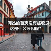 网站的首页没有被收录这是什么原因呢?(图1) 网站的首页没有被收录这是什么原因呢?(图1)
